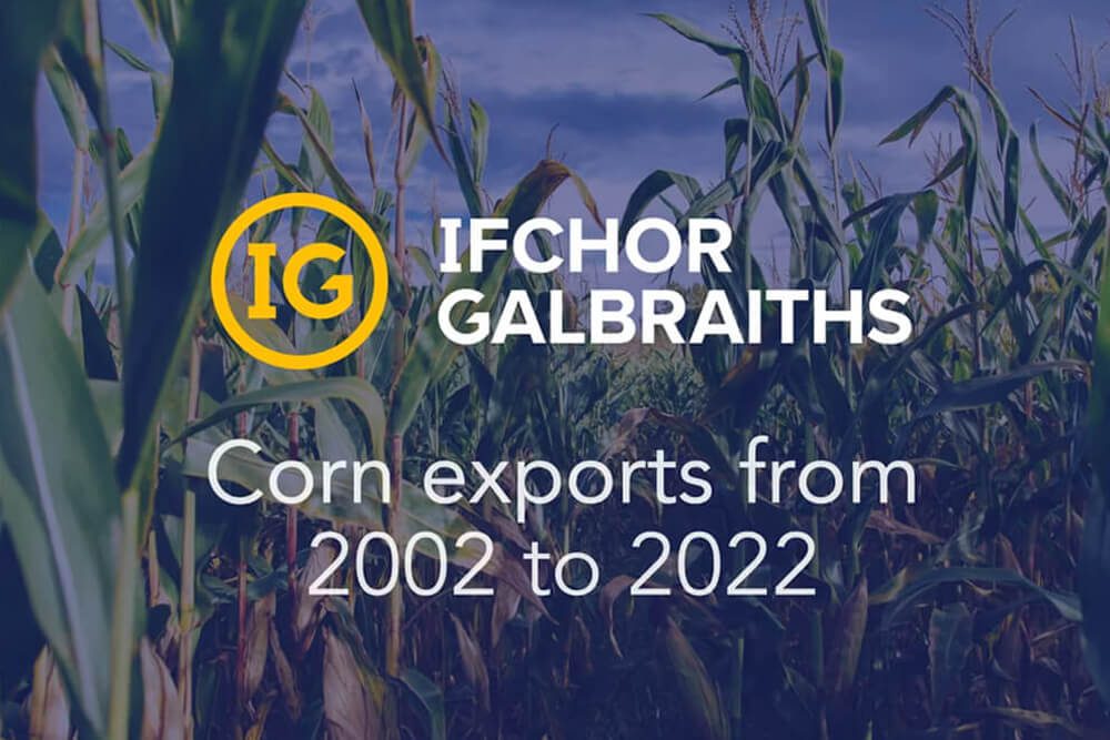Brazil key player behind corn exports tripling over the past 20 years